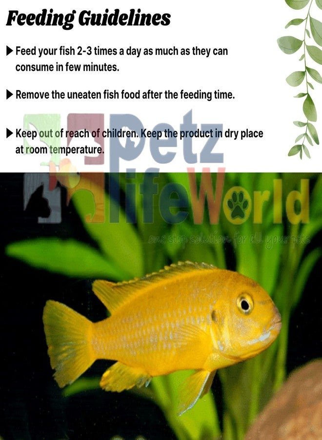 فاييناتو، طعام أسماك سيكلد بألوان طبيعية لجميع مراحل الحياة، حبيبات سهلة الهضم، 100 غرام لنمو سريع ولون طبيعي - Image 4